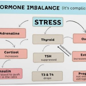 Types Of Hormone Imbalances Health Guide Poster (2) Canvas Print Wall Art Decoration Living Room Office Bedroom 30x20inch(75x50cm) Frame-style