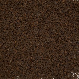 Palm Beach Medicinal Herbs - Black Cohosh (Cimicifuga racemosa) - Packet of 10 Seeds