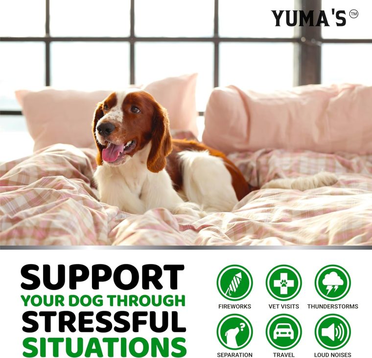 Hemp Calming Chews for Dogs - Advanced Dog Calming Chews - 170 Treats - Anxiety Relief Treats - Hemp Oil - Separation Aid, Stress, Hip and Joint Supplement for Canine Health Support - Beef Flavor - Image 4