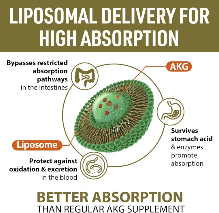 Liposomal Calcium AKG Supplement 1500 MG (Alpha-Ketoglutaric Acid), High Absorption, More Effective Than AAKG, Ca AKG for Longevity, Age Defense, Cellular Energy, Metabolic Function, 60 Softgels - Image 3