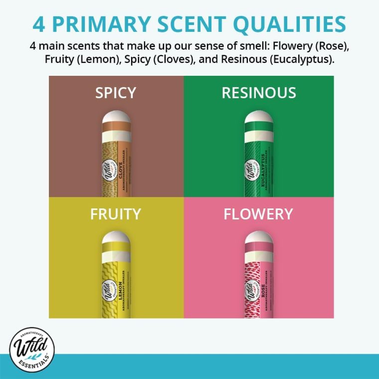Wild Essentials Smell Training Kit Nasal Inhalers, Made in The USA, Pure Essential Oils, Olfactory Therapy, Loss of Smell, Aromatherapy, All Natural - Image 6