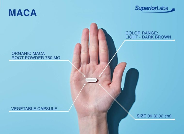 Superior Labs - Organic Peruvian Maca - 100% Pure NonGMO - Dietary Supplement for Calming and Relaxation - Zero Synthetic Additives, Stearates, Dioxides - 750mg, 120 Vegetable Capsules - Image 4