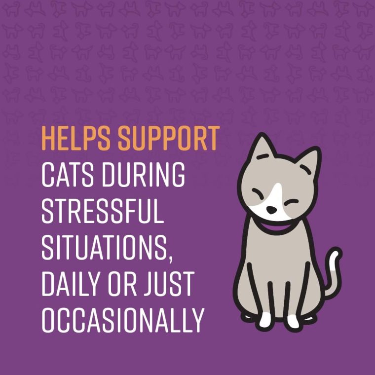 Sentry Calming Chews for Cats, Calming Aid Helps to Manage Stress & Anxiety, With Pheromones That May Help Curb Destructive Behavior & Separation Anxiety, Calming Health Supplement for Cats, 4 oz. - Image 3