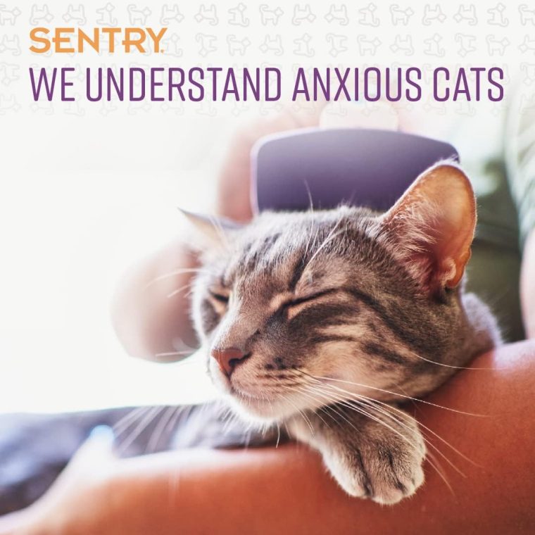 Sentry Calming Chews for Cats, Calming Aid Helps to Manage Stress & Anxiety, With Pheromones That May Help Curb Destructive Behavior & Separation Anxiety, Calming Health Supplement for Cats, 4 oz. - Image 4