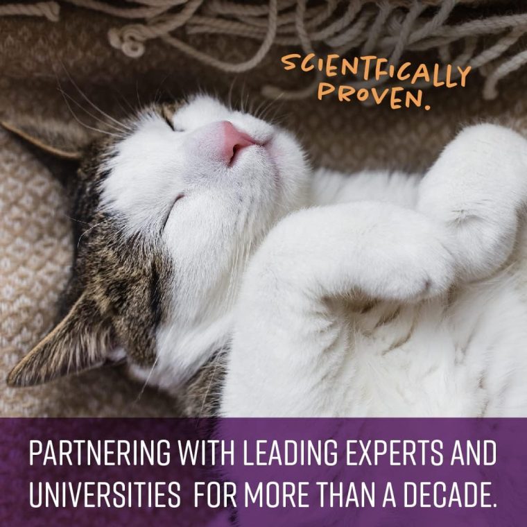 Sentry Calming Chews for Cats, Calming Aid Helps to Manage Stress & Anxiety, With Pheromones That May Help Curb Destructive Behavior & Separation Anxiety, Calming Health Supplement for Cats, 4 oz. - Image 5