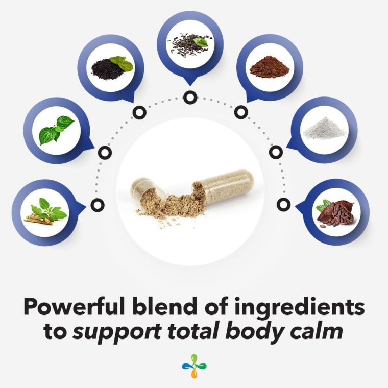 Anxie-T - Stress Relief Supplement - Supports Mood & Mental Focus - Feel Calm and Relaxed - Eases Tension & Nervousness - Ashwagandha, Kava Kava, GABA & L-Theanine - 60 Capsules - Image 4