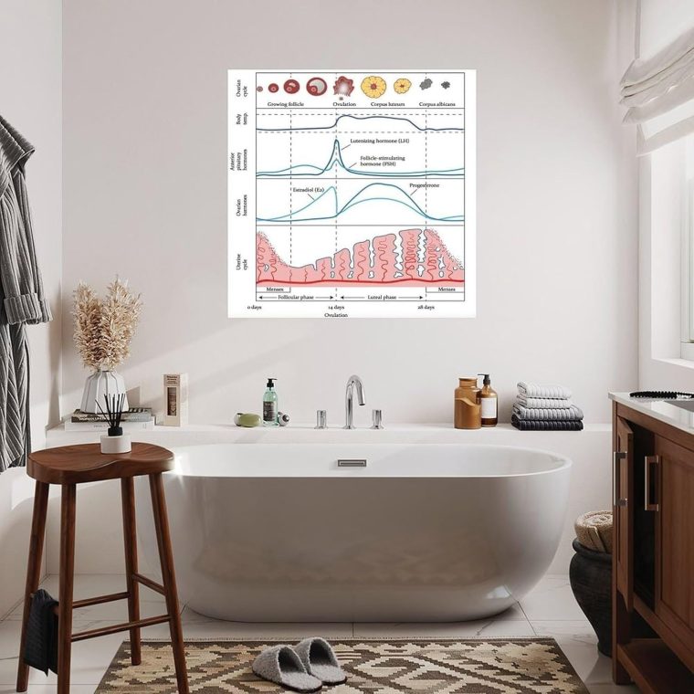 Menstrual Cycle And Hormone Chart Poster Women's Health Guide Art Print Canvas Painting Posters And Prints Wall Art for Living Room Bedroom Decor (16x16inch(30x45cm), Unframe-style) - Image 5