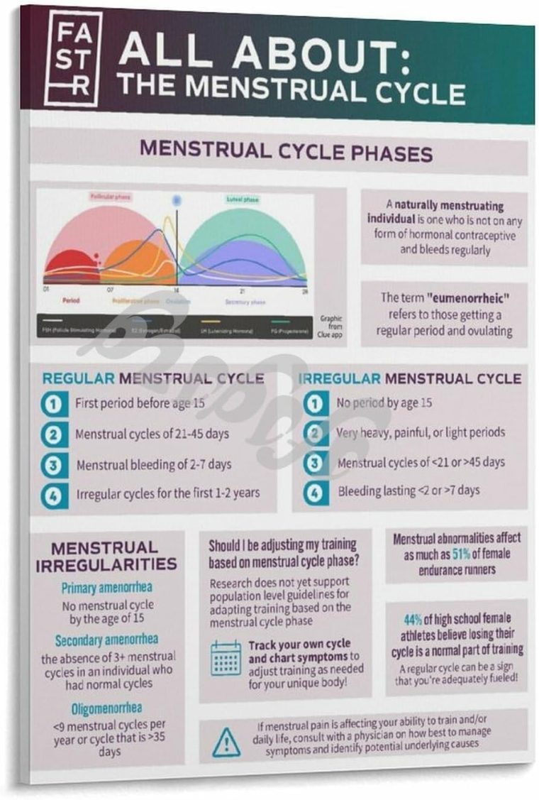 Menstrual Cycle And Hormone Chart Poster Women's Health Guide Art Canvas for Bedroom Living Room Decor 20x30inch(50x75cm) Frame-style