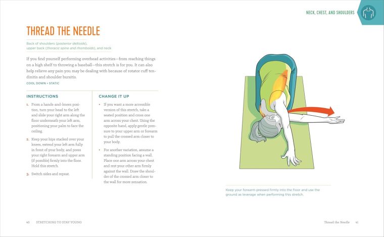 Stretching to Stay Young: Simple Workouts to Keep You Flexible, Energized, and Pain Free - Image 7