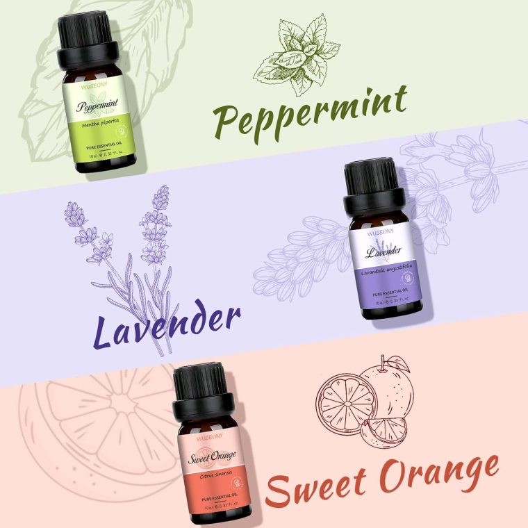 Top 6 Natural Aromatherapy Oils Gift Set, Essential Oils for Diffusers Home, Fragrance Oil Scent for Candle Soap Making - Lavender, Peppermint, Eucalyptus, Lemongrass, Sweet Orange, Clove - Image 3