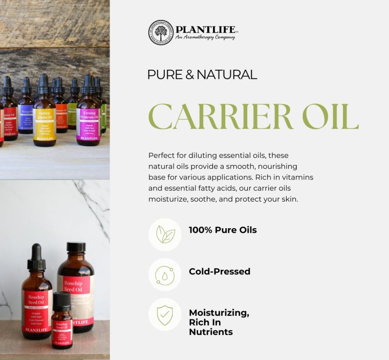Plantlife Evening Primrose Carrier Oil - Cold Pressed, Non-GMO, and Gluten Free Carrier Oils - for Skin, Hair, and Personal Care - 4 oz - Image 2