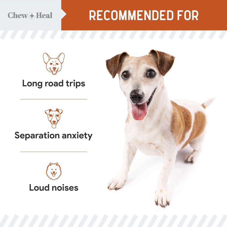 Calming Chews for Dogs - 30 Anxiety Relief Treats for Fireworks, Thunder, and Storms - Natural Dog Calming Treats for Large and Small Breeds with Thiamine, L-Tryptophan, Ginger, and Melatonin - Image 5