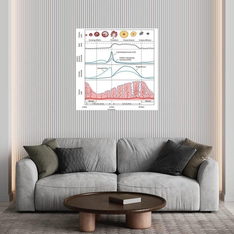 Menstrual Cycle And Hormone Chart Poster Women's Health Guide Art Print Canvas Painting Posters And Prints Wall Art for Living Room Bedroom Decor (16x16inch(30x45cm), Unframe-style) - Image 4