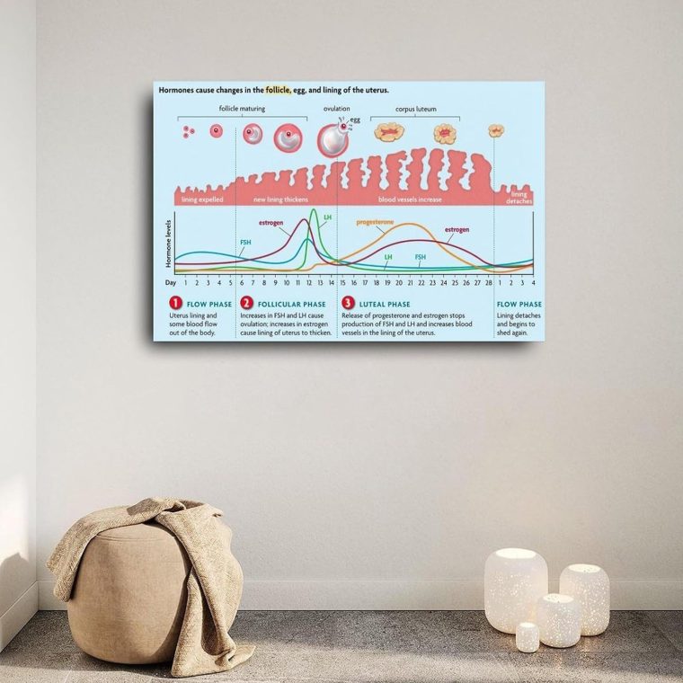 Menstrual Cycle And Hormone Chart Poster Women's Health Guide Poster (4) Canvas Painting Posters And Prints Wall Art for Living Room Bedroom Decor 30x20inch(75x50cm) Unframe-style - Image 2