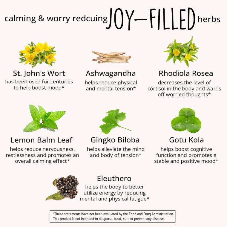 Joy-Filled Mood Support Supplement with St. Johns Wort | Stress Relief – Helps Calm The Mind & Body | 100% Plant-Based Happy Pills, Ashwagandha, Rhodiola Rosea, Eleuthero | Herbal Adaptogens, 60 Ct - Image 4