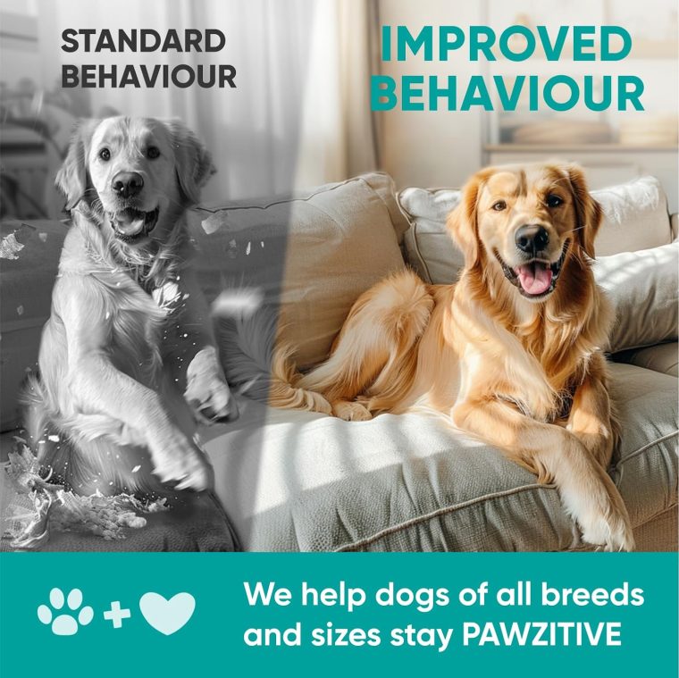 Hemp Calming Chews for Dogs - Dog Calming Chews for Anxiety Relief, Stress, Separation, Fireworks, Thunder, Travel, Vet Visits - USA Product - 120 Soft Treats with Melatonin, Chamomile, Passion Flower - Image 7