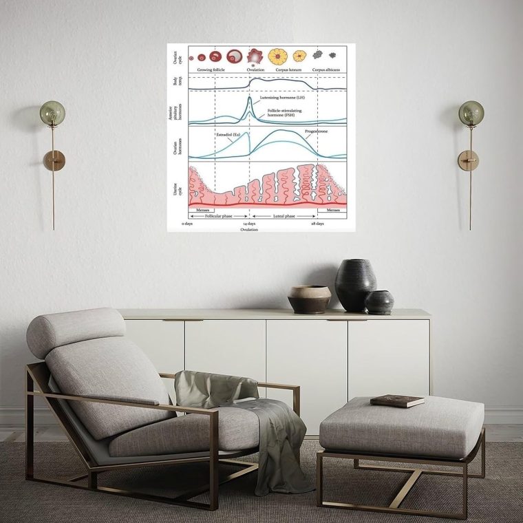 Menstrual Cycle And Hormone Chart Poster Women's Health Guide Art Print Canvas Painting Posters And Prints Wall Art for Living Room Bedroom Decor (16x16inch(30x45cm), Unframe-style) - Image 3