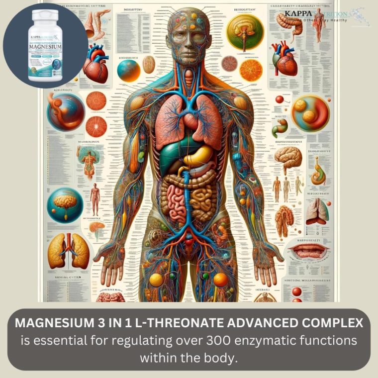 (120 Capsules), 2,253mg Per Serving, Providing 420mg Elemental Magnesium, L-Threonate, Bisglycinate Chelate, Malate, from Kappa Nutrition. - Image 8