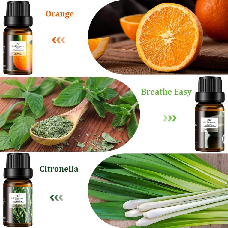 Refresh Essential Oils Set, 6x10ml Fragrance Oils Kit for Diffuser, Humidifier, Aromatherapy, Air Purifier - Orange, Breathe Easy, Citronella, Jasmine & Camellia, Lemon, Lavender - Image 3
