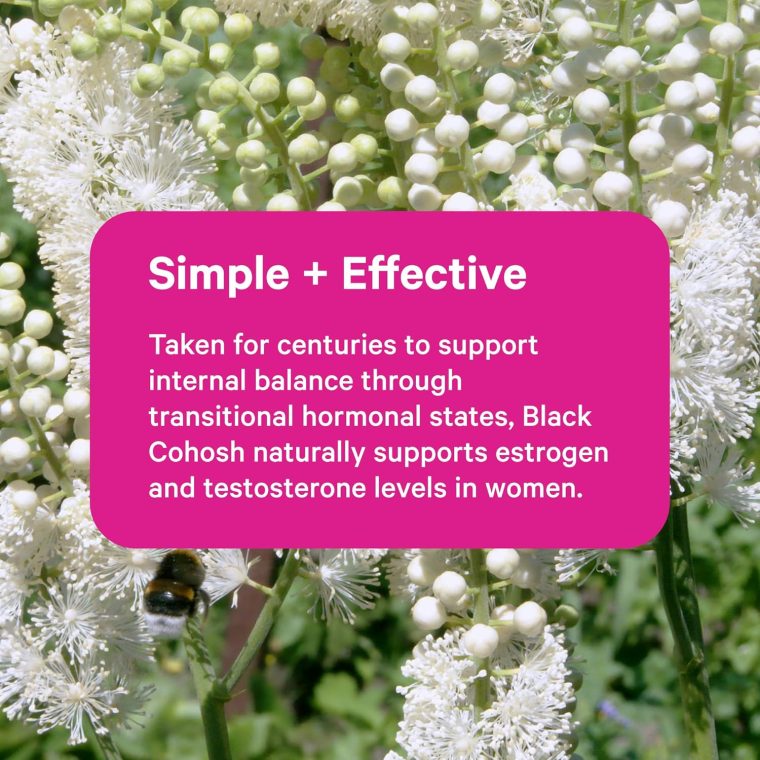 Pink Stork Black Cohosh Supplements for Women - 540 mg Pure Black Cohosh for Perimenopause, Menopause Support- 30 Capsules - Image 3