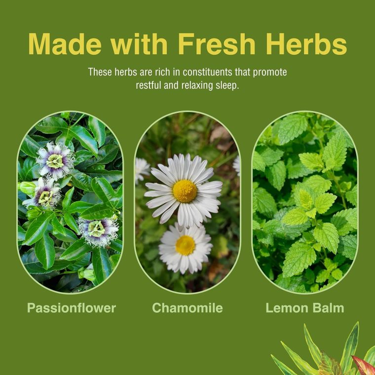 Herbs Etc. Deep Sleep Softgels - Herbal Sleep Support Supplement - Rest & Calming Support with Passionflower, Chamomile & Lemon Balm - 120 Softgels (120 Servings) - Image 5