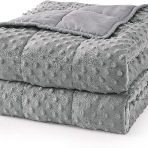 Mr. Sandman Weighted Blanket for Adults Queen, Minky Dots Heavy Blanket for Woman,Man Sleeping/Calm, Soft, Cozy and Cooling Weighted Throw Blankets, Machine Washable, 60 x 80in, 15 Pounds, Grey