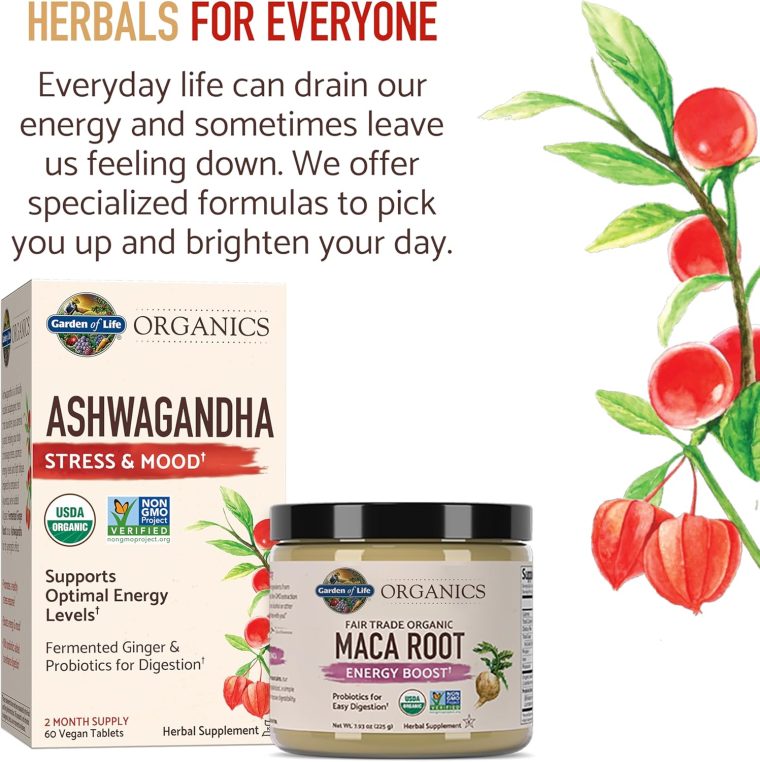 Garden of Life Organics Fair Trade Gelatinized Peruvian Maca Root Energy Boost 7.93 oz (225g) Powder with Probiotics, Certified Organic, Non-GMO, Vegan & Gluten Free Herbal Supplements - Image 7