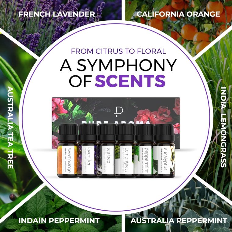 Essential Oils Set by Pure Aroma - Top 6 Aromatherapy Oils Gift Set-6 Pack, 10ml (Eucalyptus, Lavender, Lemongrass, Sweet Orange, Peppermint, Tea Tree) - Image 4