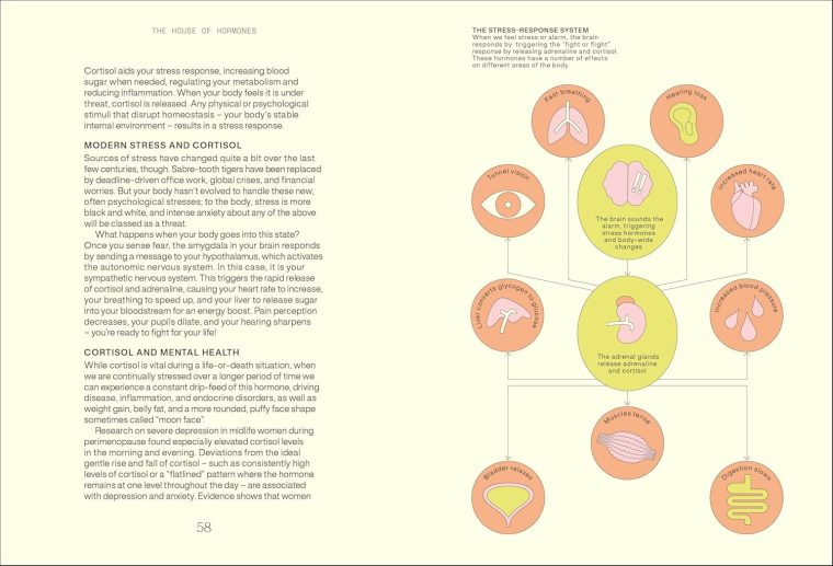 Everything I Know About Hormones: Six Steps to Optimal Health and Happiness - Image 4