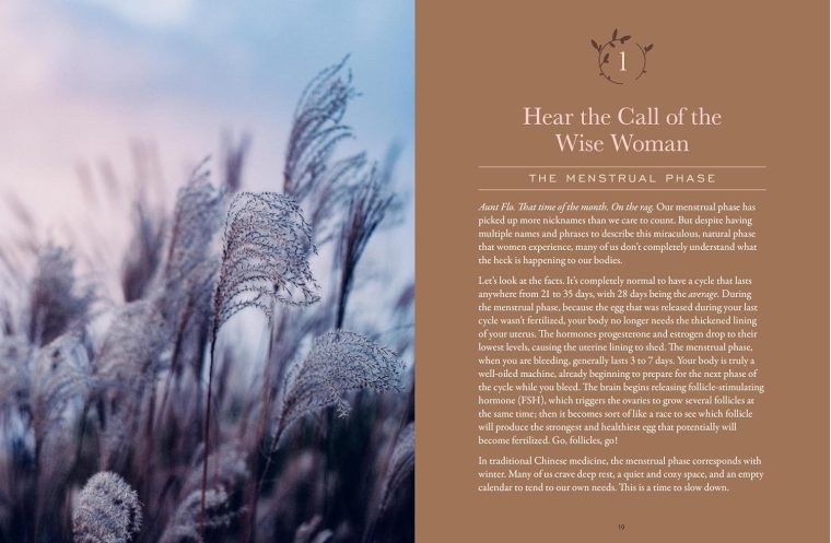 The Moon Cycle Cookbook: A Holistic Nutrition Guide for a Well-Balanced Menstrual Cycle - Image 3