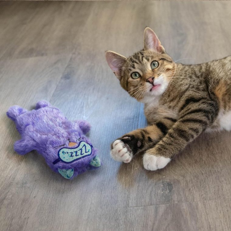 Catstages Purr Pillow Kitty Calming Cat Toy with Touch-Activated Purring and Soft Plush, Purple - Helps Reduce Stress & Provide Anxiety Relief for Cats - Image 8