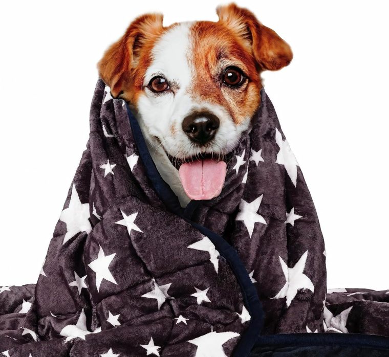 LaSyL Weighted Blanket for Pets | Thunder Blanket for Dogs Anxiety | Premium Soft Minky | Relaxation & Calming & Anti Anxiety | Blue Grey Star, Washable Large 40" L x 47" W