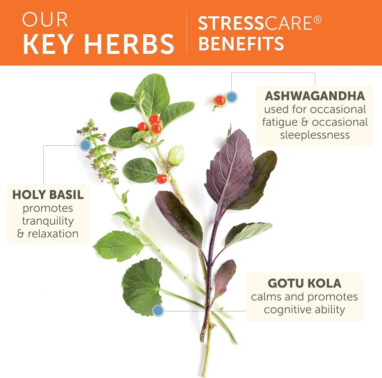 Himalaya StressCare Herbal Supplement, Supports Stress Relief, Energy Support, Relaxation, Occasional Sleeplessness, Ashwagandha, Holy Basil/Tulsi, Gotu Kola, Non-GMO, Vegetarian, 240 Capsules - Image 5