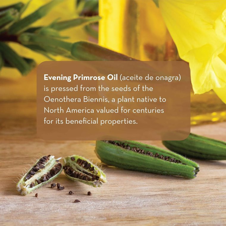 Pure Body Naturals Evening Primrose Oil - Liquid, not Capsules - for Face, Skin and Hair, 4 fl oz - Image 2