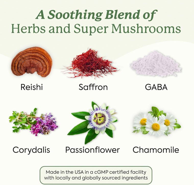 Plant People WonderSleep Mushroom Gummies Supplement for Sleep and Relaxation with Reishi Super Mushrooms, Wild Elderberry Flavor, No Sugar (60 Count) - Image 5