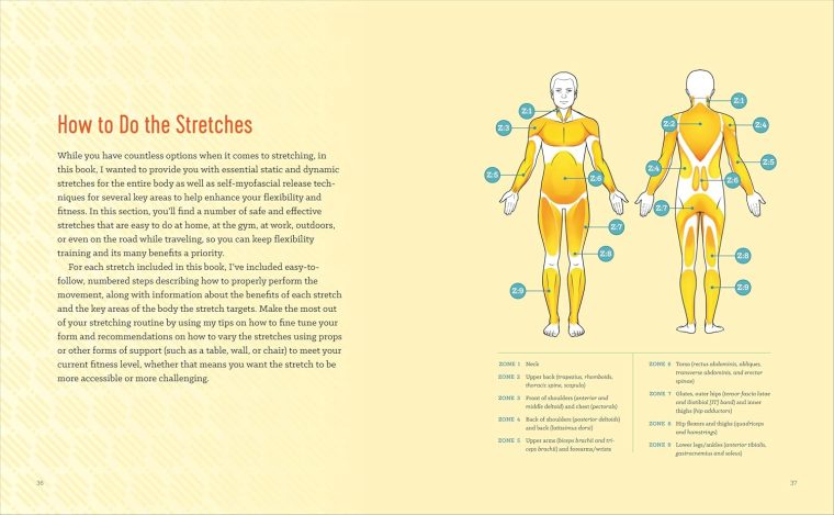 Stretching to Stay Young: Simple Workouts to Keep You Flexible, Energized, and Pain Free - Image 8