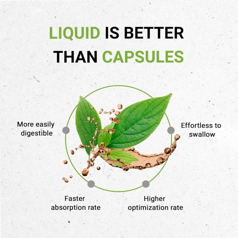 Secrets of the Tribe Black Cohosh USDA Organic | Alcohol-Free Extract, High-Potency Herbal Drops | Made from 100% Certified Organic Black Cohosh (Cimicifuga Racemosa) Dried Root 4 oz - Image 2