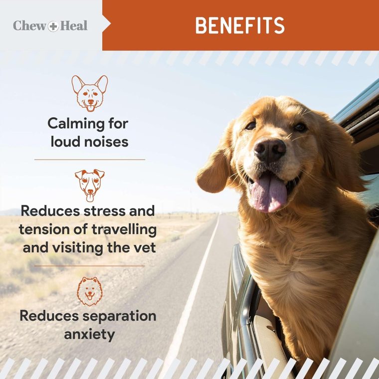 Calming Chews for Dogs - 30 Anxiety Relief Treats for Fireworks, Thunder, and Storms - Natural Dog Calming Treats for Large and Small Breeds with Thiamine, L-Tryptophan, Ginger, and Melatonin - Image 4