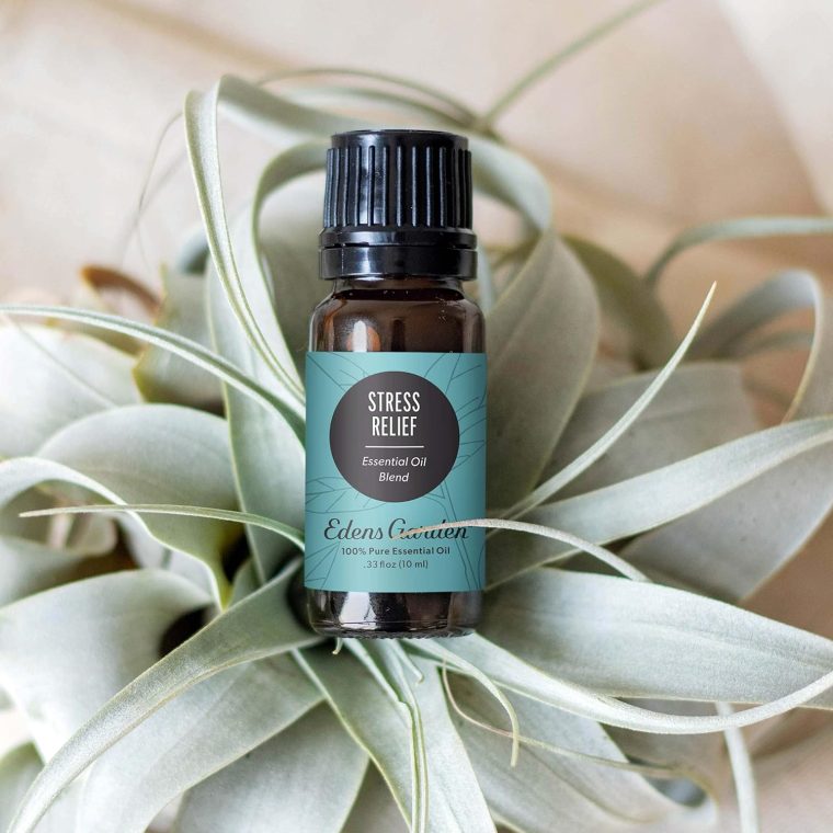 Edens Garden Stress Relief Essential Oil Blend- 100% Pure Premium Grade, Undiluted, Natural, Therapeutic, Aromatherapy, The Best for Diffusing, Skin, Candle, Humidifiers 10 ml (.33 fl oz) - Image 2