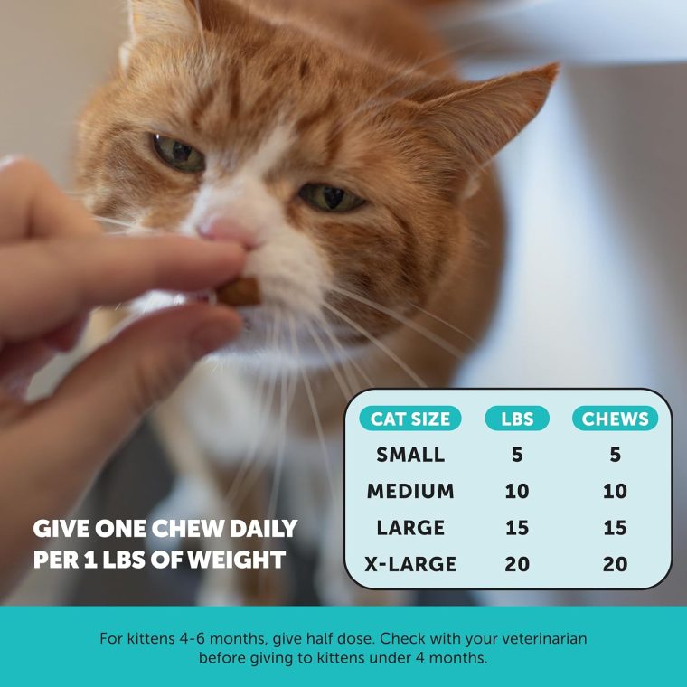 Calming Chews for Cats - Cat Anxiety Relief + Helps Reduce Stress - Behavioral Support & Promotes Relaxation for Travel, Boarding, Vet Visits, Separation Anxiety - Chicken (30-Day Supply) - Image 5