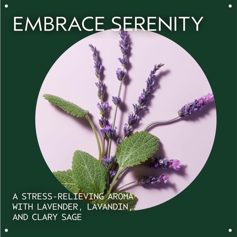 Aveda Stress-Fix Body Lotion | Shown to Reduce Feelings of Stress | with Aroma of Lavender, Lavandin, Clary Sage, 6.7 Fl Oz - Image 3