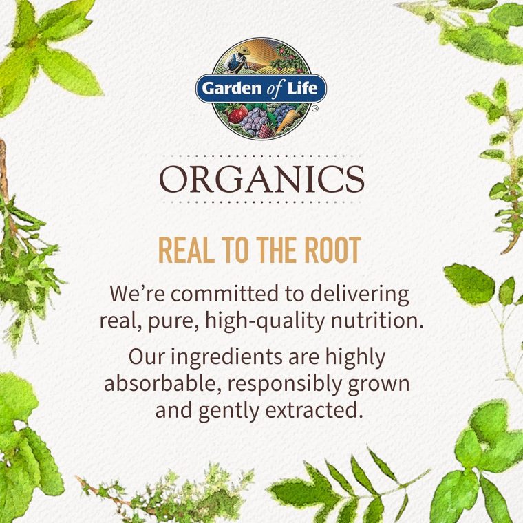 Garden of Life Organics Fair Trade Gelatinized Peruvian Maca Root Energy Boost 7.93 oz (225g) Powder with Probiotics, Certified Organic, Non-GMO, Vegan & Gluten Free Herbal Supplements - Image 8