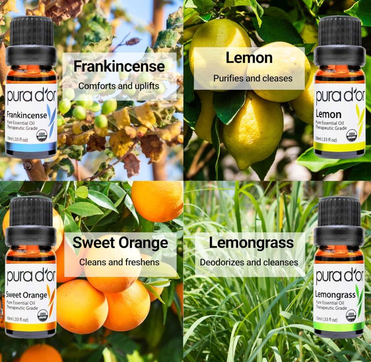 PURA D'OR Organic Sweet16 Essential Oils Set - 16x 10mL Wood Box Aromatherapy Gift Set - 100% Pure Therapeutic Grade for Relaxation and Wellness (Lavender, Rosemary, Turmeric, Ylang Ylang & More) - Image 4