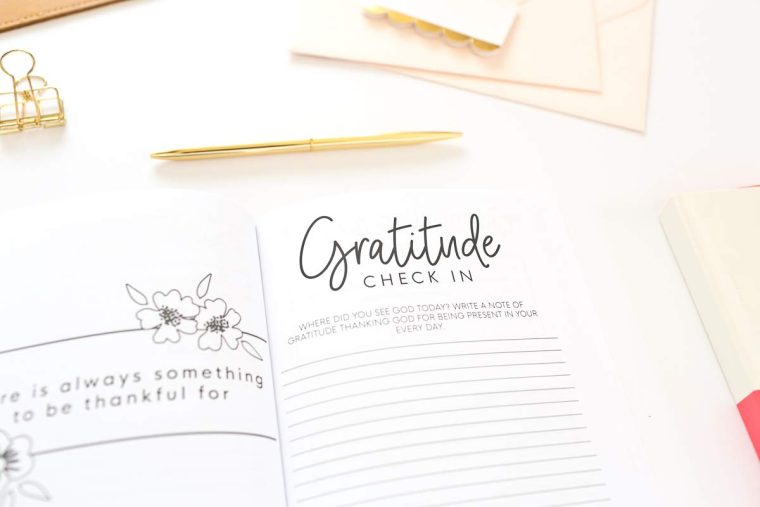 Christian Gratitude Journal for Women: Give Thanks to the Lord: A 52 Week Inspirational Guide to More Prayer and Less Stress - Image 6