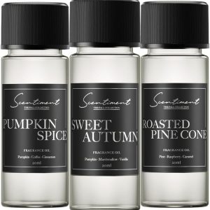 Fall Diffuser Oil Discovery Kits - Top 3 Fall Scents | Aromatherapy Home Fragrance | Luxurious Scent with Notes of Sweet Autumn, Pumpkin Spice, Roasted Pine Cone, 20ml