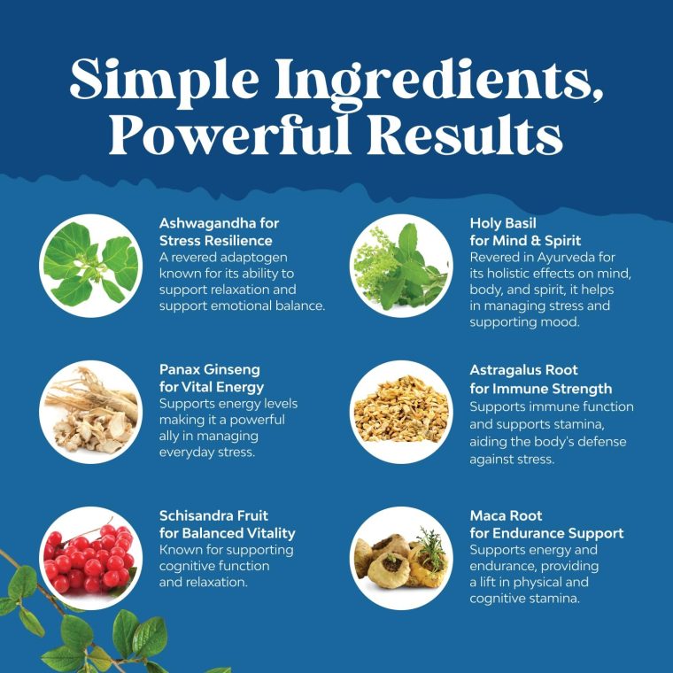 Herbal Adaptogen Mood Support Supplement - Calming Adaptogens Supplement for Stress & Cortisol Management with Ashwagandha Rhodiola Rosea & Maca Root - Vegan Non GMO & Daytime Friendly - 60ct - Image 5