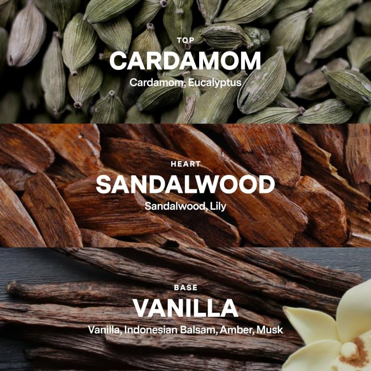 Siblings Essentials, Candle Refill Kit, DIY Candle Kit (No 06: Cardamom, Sandalwood, Vanilla) - Eco-Friendly Candle Refill, Clean Fragrance and Essential Oils, Coconut and Soy Wax - Image 5