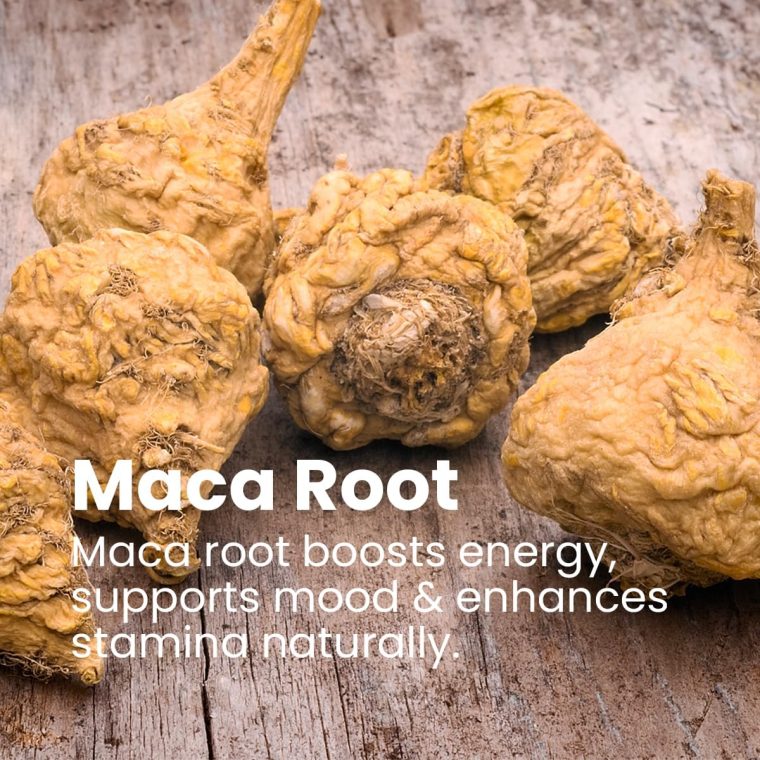 Sanar Naturals Maca Root Powder 1000 mg - Supports Energy, Stamina, Focus and Mood for Women & Men - Maca Root Supplement, Non-GMO, Gluten-Free, 120 Capsules - Image 2