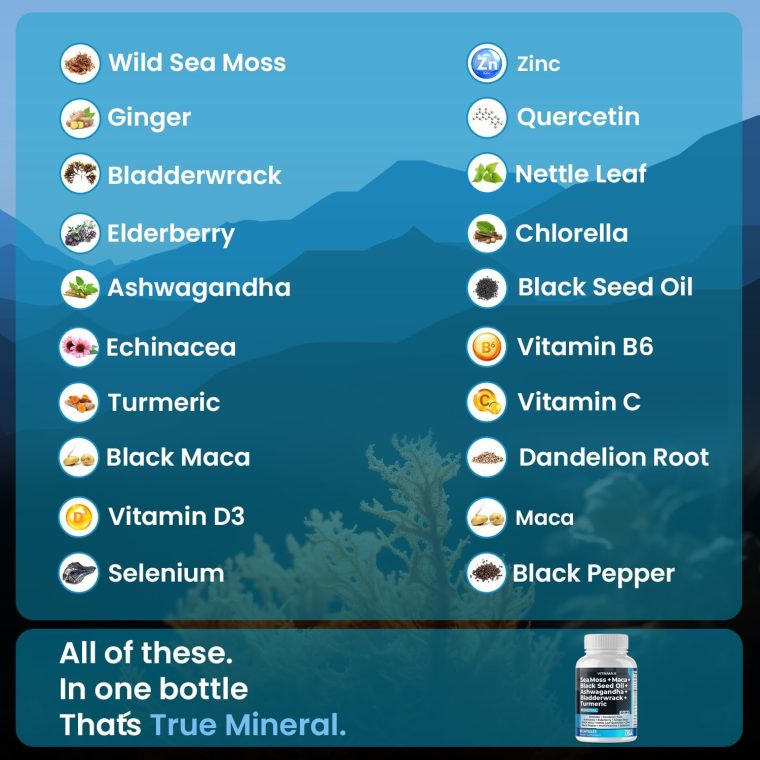 Sea Moss Maca Black Seed Oil Ashwagandha Bladderwrack Turmeric - Manuka Honey, Elderberry, Vitamin C & D3, Dandelion & Black Pepper - Non-GMO - Vegan - Made in USA - 60ct - Image 3