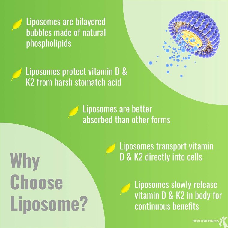 UpNourish Liposomal D3 & K2 MK-7, Advanced Absorption for Optimal Bone and Immune Health, Supplies 5000 IU 125 mcg Vitamin D3 and 100 mcg Vitamin k2 with Organic Coconut Oil, 365 Mini softgels - Image 3